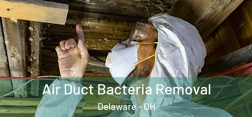 Air Duct Bacteria Removal Delaware - OH