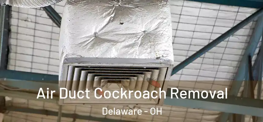  Air Duct Cockroach Removal Delaware - OH