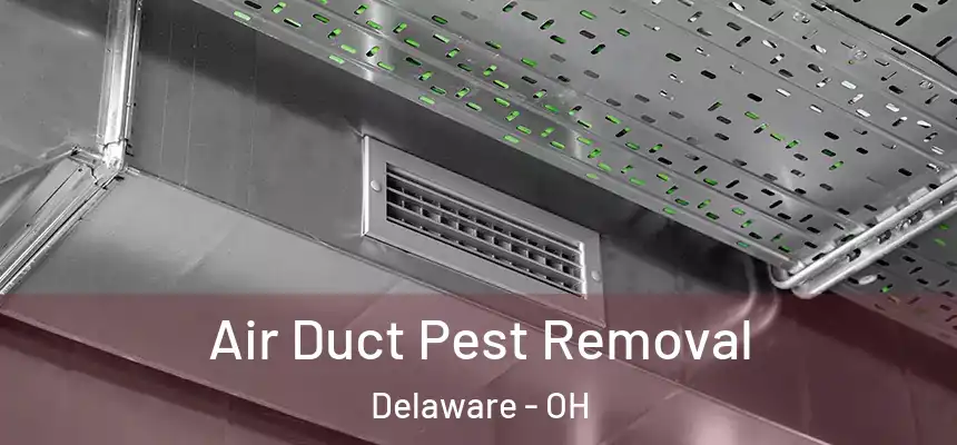 Air Duct Pest Removal Delaware - OH