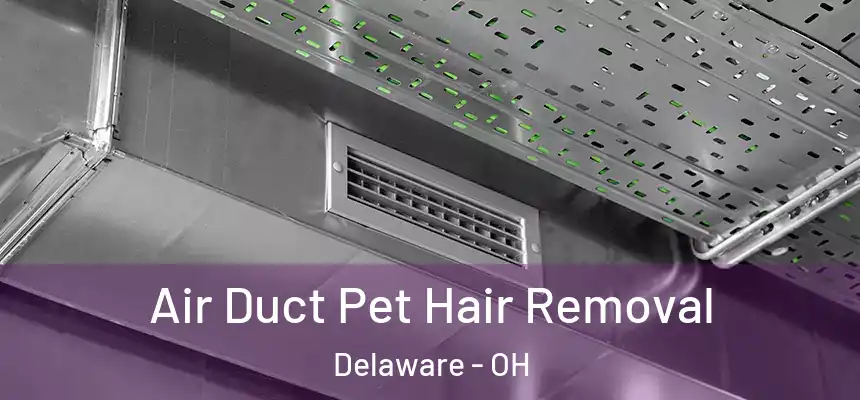 Air Duct Pet Hair Removal Delaware - OH