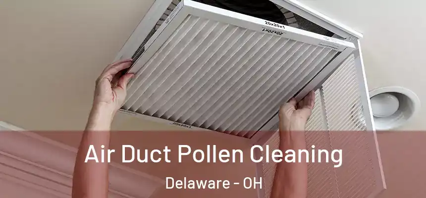 Air Duct Pollen Cleaning Delaware - OH