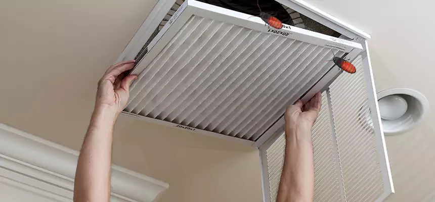 Preventive Cockroach-Proofing for Ducts in Delaware