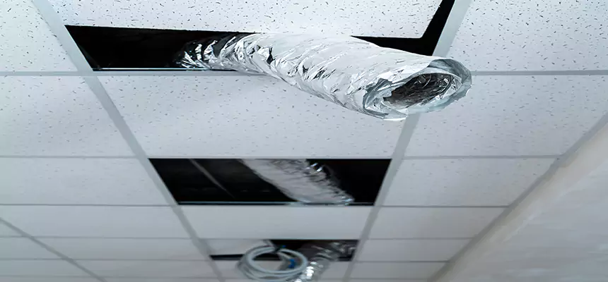 Affordable HVAC Sanitizing After Pest Removal in Delaware