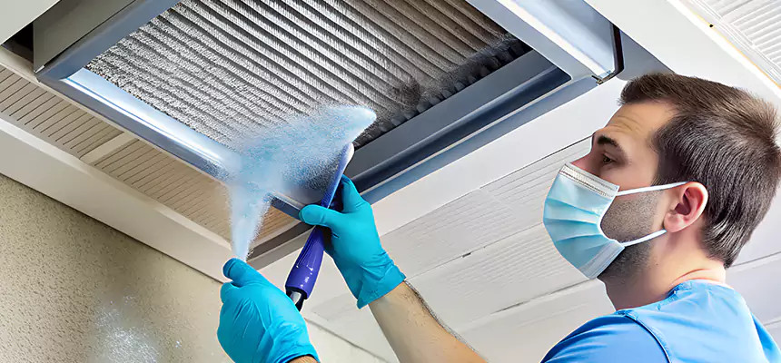 Proactive Dryer Vent & Auxiliary Duct Pollen Cleanup in Delaware, OH