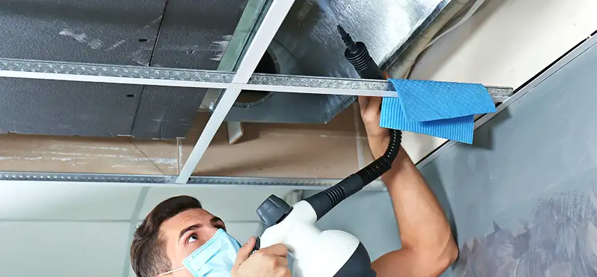 Our Air Duct Rodent Removal Services in Delaware, OH