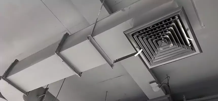 Restorative Allergy Relief Vent Cleaning – Coil, Blower & Housing Detail in Delaware