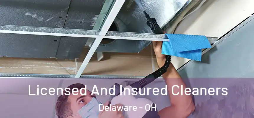 Licensed And Insured Cleaners Delaware - OH
