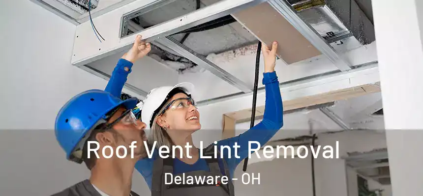 Roof Vent Lint Removal Delaware - OH