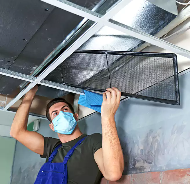 Why Homeowners Businesses Trust Us in Delaware, OH