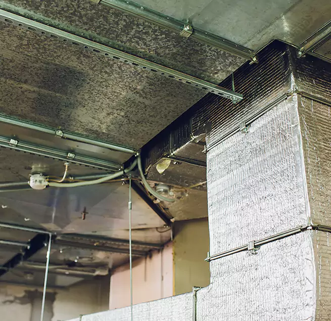 Why Homeowners & Businesses Trust Us in Delaware, OH?